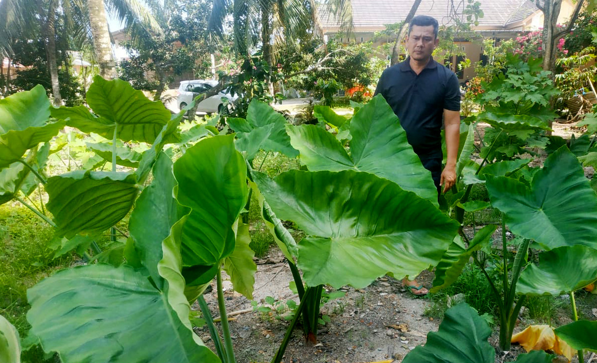 234136786 368234368169000 8707524590753170426 n